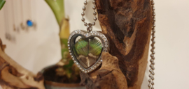 Ketting Memory Locket heart Strass Silver- Peacock feather