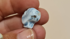 Larimar Schelpje No.1