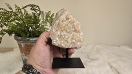 Angel Aura Citrien op standaard No. 5