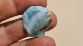 Larimar Schelpje No.7