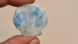 Larimar Schelpje No.11