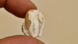 Fossiele Quartz Schelp Small No.3