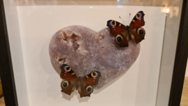Set Fantasy "Pink Heart & Peacock's"