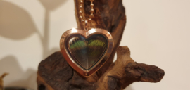 Ketting Memory Locket Rose heart- Peacock feather