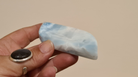 Larimar Schaaltje Leaf Large