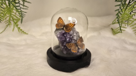 Set Fantasy "Amethist & Lycaena's "