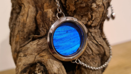 Armband Memory locket Twist Slide Silver- Morpho Blue