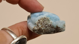 Larimar Schildpadjes Large No.2