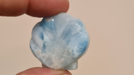 Larimar Schelpje No.11