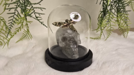 Set Fantasy "Bergkristal Skull & Oleander"