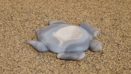 Agaat Zeeschildpad No.2