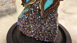 Set Fantasy "Titanium Aura & Doxocopa"