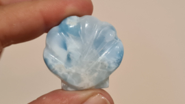 Larimar Schelpje No.11