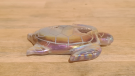 Angel aura agaat "Turtle" No.8