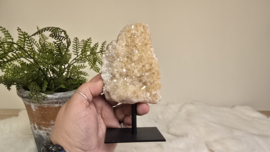 Angel Aura Citrien op standaard No. 4
