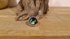 Ring Memory Locket Silver- Urania Seagreen