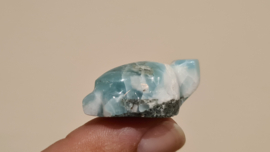 Larimar Schildpadje Small No.2