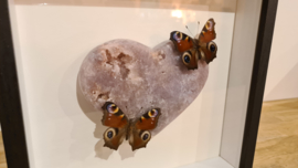 Set Fantasy "Pink Heart & Peacock's"