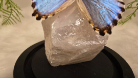 Set Fantasy "Angel Aura Rozenkwarts & Portis"