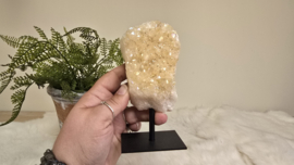 Angel Aura Citrien op standaard No. 3