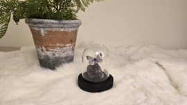 Set Fantasy "Amethist & Dorylas"