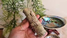 Smudge stick Witte Salie & Eucalyptus