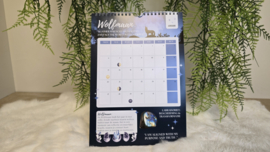 Beautiful Gifts Maan Kalender 2025