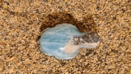 Larimar Schildpadje Medium No.1