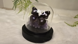 Set Fantasy "Amethist & Bolina"