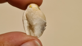 Fossiele Quartz Schelp Small No.3