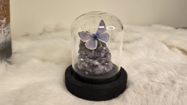 Set Fantasy "Angel Aura Amethist & Daphnis"