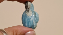 Larimar Schildpadje Medium No.1