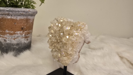 Angel Aura Citrien op standaard No. 1