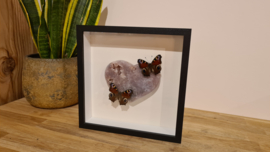 Set Fantasy "Pink Heart & Peacock's"