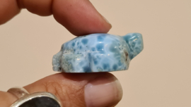 Larimar Schildpadje Medium No.2