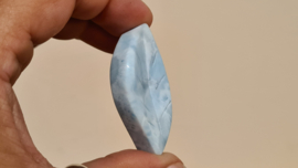 Larimar Schaaltje Leaf Mini