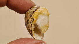 Fossiele Quartz Schelp Medium No. 9