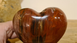 Versteend hout hart "Medium 2"