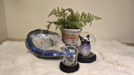 Angel Aura Agaat Geode No.1