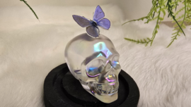 Set Fantasy "Angel Aura Skull & Thersites"