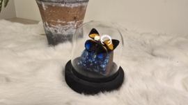 Set Fantasy "Dark Titanium & Orange Callicore"