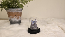 Set Fantasy "Angel Aura Amethist & Daphnis"