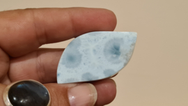 Larimar Schaaltje Leaf Mini