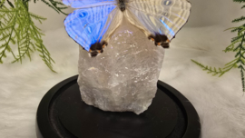Set Fantasy "Angel Aura Rozenkwarts & Sulkowkyi"