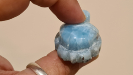 Larimar Schildpadje Medium No.4