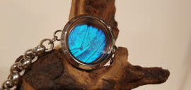 Armband Memory Locket Chain Silver- Morpho Blue