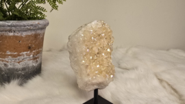 Angel Aura Citrien op standaard No. 3