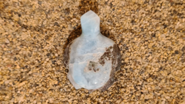 Larimar Schildpadje Medium No.3