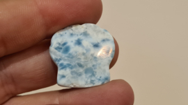 Larimar Schelpje No.6