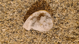 Fossiele Quartz Schelp Medium No. 7